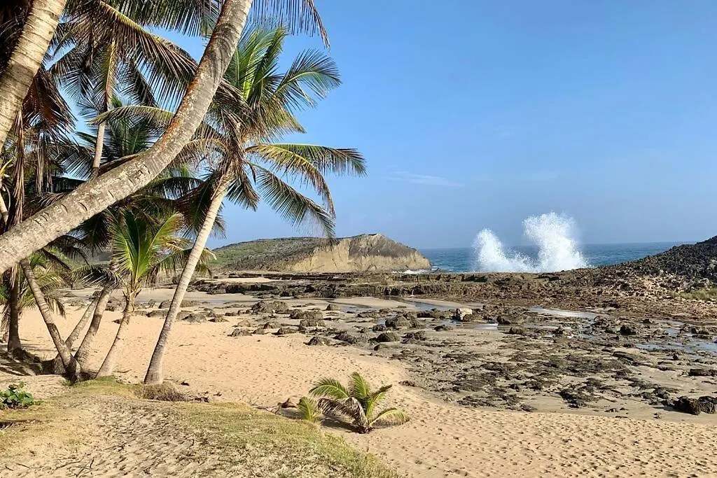 بيت للعطل Casa Lula Beach Retreat - Fenced Backyard أريسيبو